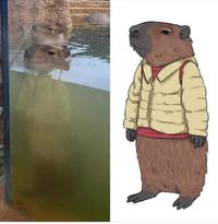 Capybara Vertebrate Sleeve Mammal Water Headgear Art