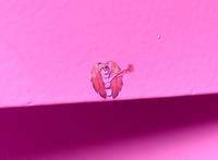 Chromatica Roach