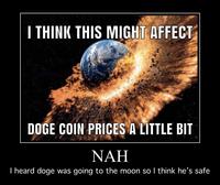 I THINK THIS MIGHT AFFECT DOGE COIN PRICES A LITTLE BIT NAH I heard doge was going to the moon so I think he's safe