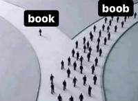 boob book