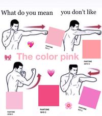 you don't like What do you mean PANTONE 707 C * The color pink PANTONE 3572 C PANTONE 231 C PANTONE 1915 C PANTONE 2036 C