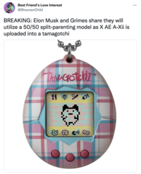 Best Friend's Love Interest @ShounenChild BREAKING: Elon Musk and Grimes share they will utilize a 50/50 split-parenting model as X AE A-Xii is uploaded into a tamagotchi TANAGIOTCHT