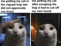 me petting my cat in me petting my cat the Jigsaw trap (we did not appreciate our lives) after escaping the trap (I had to cut off my own hand)