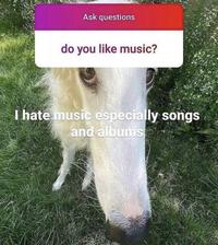 Ask questions do you like music? T hate music especially songs and albums