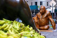 SPRONG Charging Bull Food Photograph Plant Banana Natural foods Window Public space Bodybuilder Chest Fruit Whole food