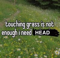 touching grass is not enough i need НEAD
