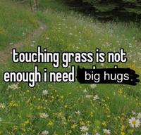 touching grass is not enough i need big hugs.