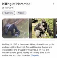 no context nostalgia