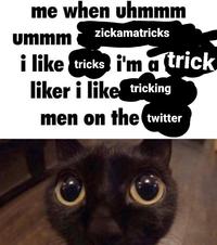 me when uhmmm zickamatricks ummm i'm a (trick. i like liker i like tricking tricks men on the twitter