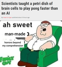 Scientists Taught a Petri Dish of Brain Cells to Play Pong