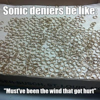Sonic Deniers Be Like