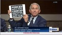 LIVE FORCED MOUTH COVER. COERCED PENETRATION. SOUNDS A LITTLE R---- TO ME. DR. ANTHONY FAUCI National Institute of Allergy & Infectious Diseases (NIAID) - Director C-SPAN3 CORONAVIRUS RESPONSE