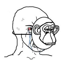 Crying behind the monkey mask