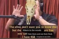 The Hikers in the Woods Are Free