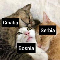 Croatia Serbia Bosnia Lithuaniaball