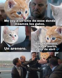 Me voy a un sitio de esos donde meamos los gatos. Dos de febrero, tres de marzo, cuatro de abril Un arenero.