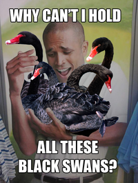 WHY CAN'TI HOLD ALL THESE BLACK SWANS?