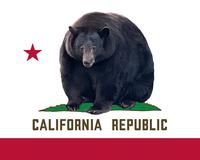 CALIFORNIA REPUBLIC