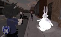 LOLI POLICE DEPARTMENT
