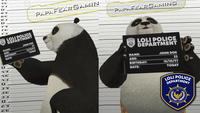 PAPAFEARSAMIN PAPAFEARGAMINS LOLI POLICE DEPARTMENT JOHN DOE 22 NAME: AGE: 18/10/97 TODAY LOLI POLICE DEPARTMENT BIRTHDAY: DATE: NAME: JOHN DOE AGE: 22 18/10/97 BIRTHDAY: DATE: 39 TODAY 33 0. LOLI POLICE DEPARTMENT 2'9