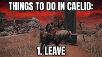 THINGS TO DO IN CAELID: 1. LEAVE