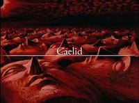 Caelid