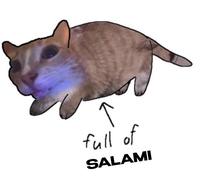 ↑ full of SALAMI