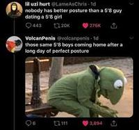 lil uzi hurt @LameAsChris - 1d nobody has better posture than a 5'8 guy dating a 5'8 girl Q 443 276K VolcanPenis evolcanpenis - 1d those same 5'8 boys coming home after a long day of perfect posture 3,894