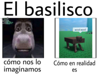 CCCC nn El basilisco SCO Jotstam Basilico Momos woof woof cómo nos lo Cómo en realidad imaginamos es