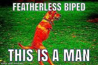 FEATHERLESS BIPED THIS IS A MAN made with mematic