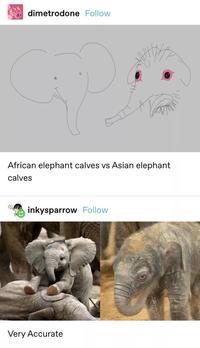 The baby African elephant drawing looks exactly like something from Babar.