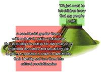 We just want to let children know that gay people exist A neo-Marxist gender theory with no basis in reality whatsoever that explicitly advocates for deconstructing childhood innocence and sexualising kids as young as possible in order to destabilise their identity and turn them into cultural revolutionaries
