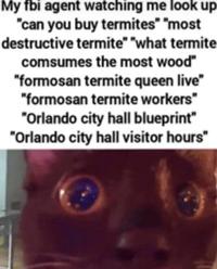 My fbi agent watching me look up "can you buy termites" "most destructive termite" "what termite comsumes the most wood" "formosan termite queen live" "formosan termite workers" "Orlando city hall blueprint" "Orlando city hall visitor hours"