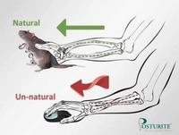 Natural Un-natural OSTURITE