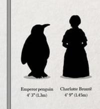 Emperor penguin Charlotte Brontë 43" (1.3m) 4'9" (145m)