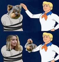 Amber Heard Revenge Poop meme