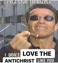 I'M A STUD, I'M BALLSY I DON'T LOVE THE ANTICHRIST LIKE YOU 329