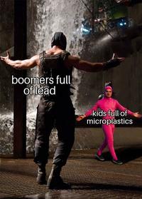 boomers full of lead kids full of microplastics