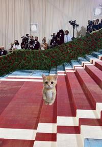 Sad Kitty at MET Gala