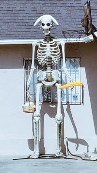 recycling is good for the planet not even for decoration you have to make the difference between reusing and scaring people