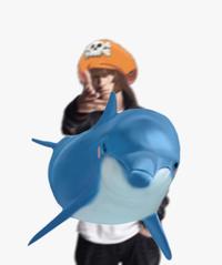 Have a Dolfin