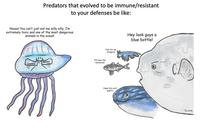Predators that evolved to be immune/resistant to your defenses be like: Hey look guys a blue bottle! Yum for my stingers! Noooo! You can't just eat me willy nilly, I'm extremely toxic and one of the most dangerous animals in the ocean! I'll have the tentacles Hope this ain't plastic justody