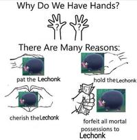 Why Do We Have Hands? MM There Are Many Reasons: pat the Lechonk cherish the Lechonk hold the Lechonk forfeit all mortal possessions to Lechonk