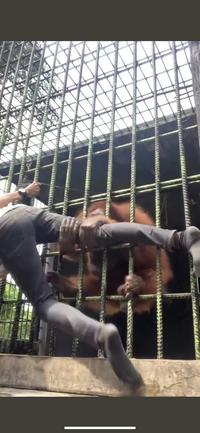 FTVE մար շարունակո