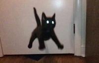 They Jump