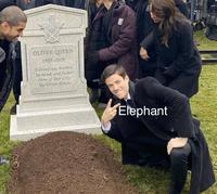 Elephant Tramples Woman at Funeral (meme)
