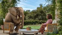 The Elephant Talking to Oprah