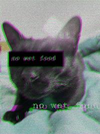 Traumacore Edit of @zuza_real's cat