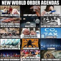 Agenda