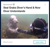 Seal